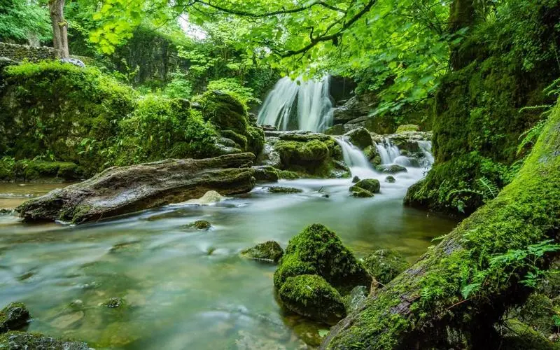 智慧高标准